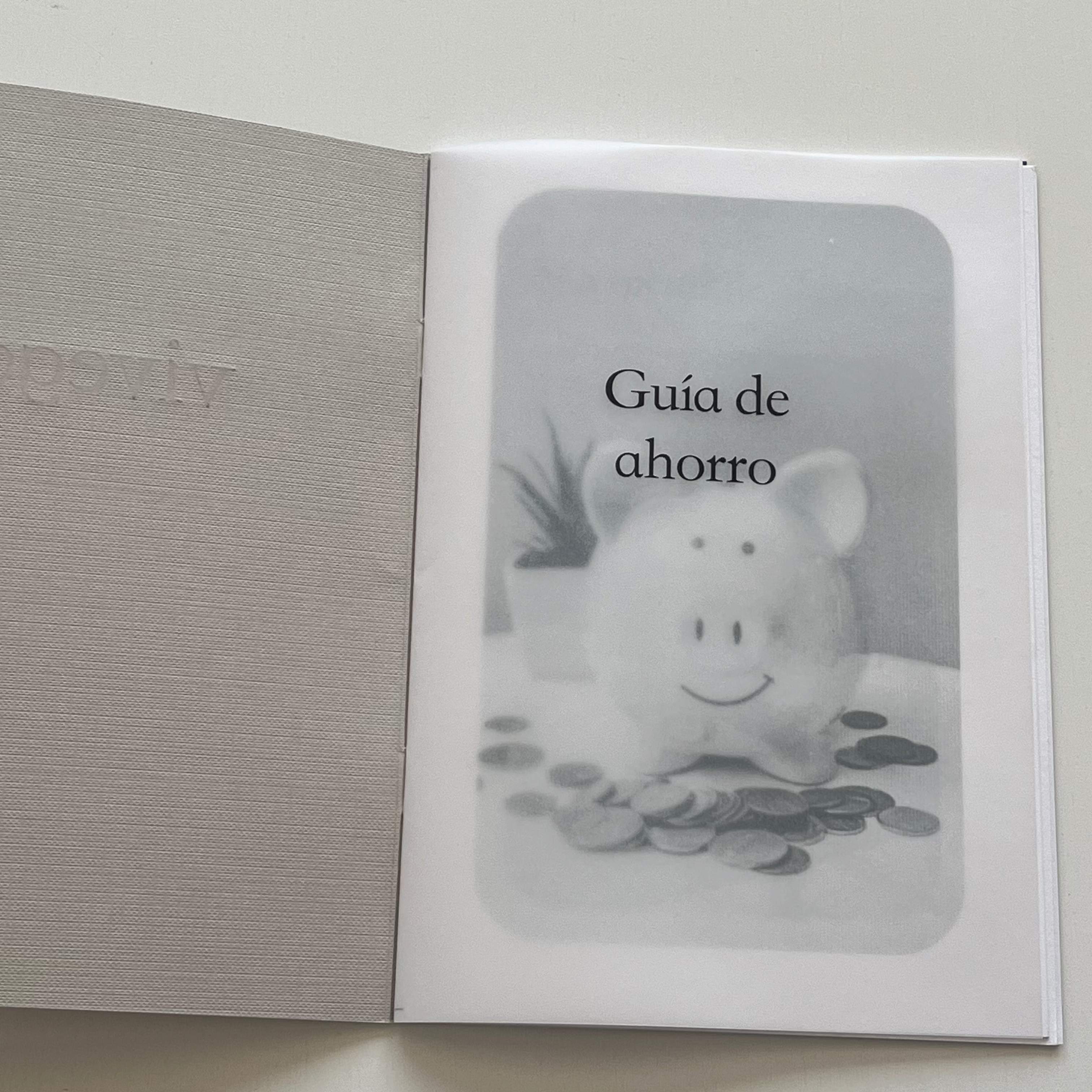 Guía de ahorro